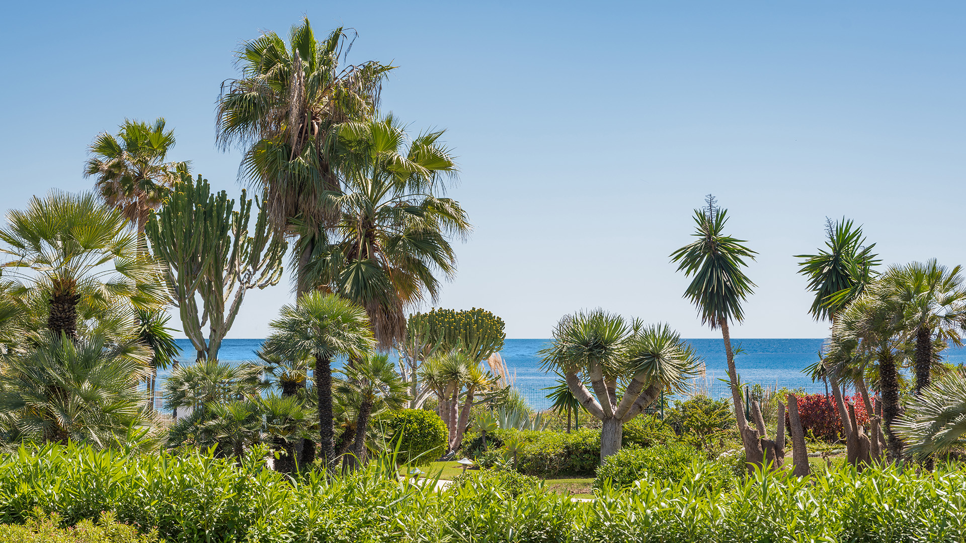 Phoenix Costa Costalita Cadiz BB Repeat WEB-12